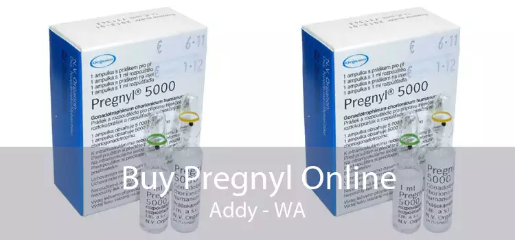 Buy Pregnyl Online Addy - WA