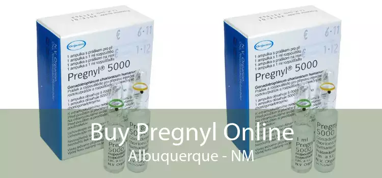 Buy Pregnyl Online Albuquerque - NM