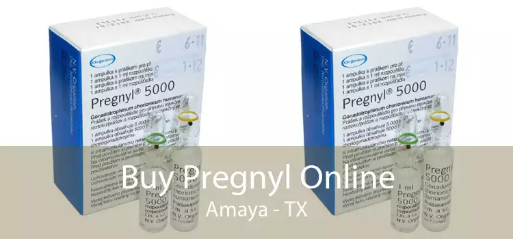 Buy Pregnyl Online Amaya - TX