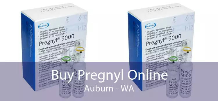 Buy Pregnyl Online Auburn - WA