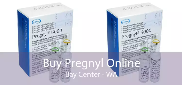 Buy Pregnyl Online Bay Center - WA