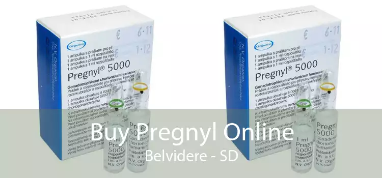 Buy Pregnyl Online Belvidere - SD