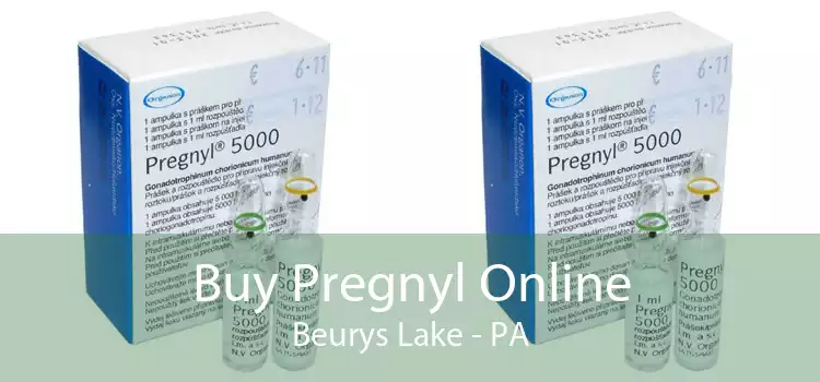 Buy Pregnyl Online Beurys Lake - PA