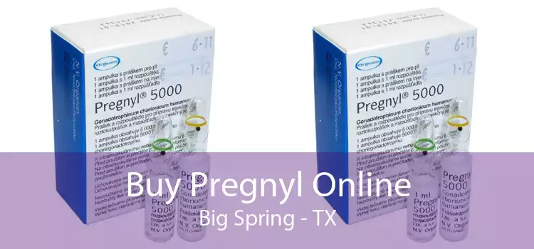 Buy Pregnyl Online Big Spring - TX