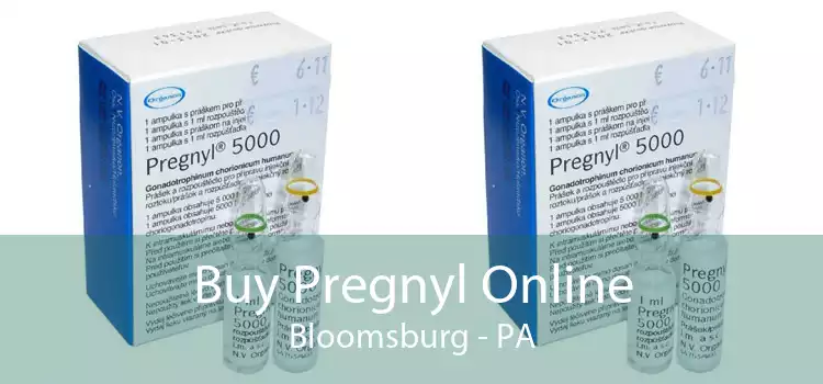 Buy Pregnyl Online Bloomsburg - PA