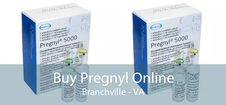 Buy Pregnyl Online Branchville - VA
