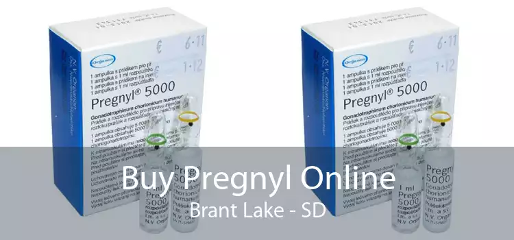 Buy Pregnyl Online Brant Lake - SD
