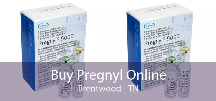 Buy Pregnyl Online Brentwood - TN