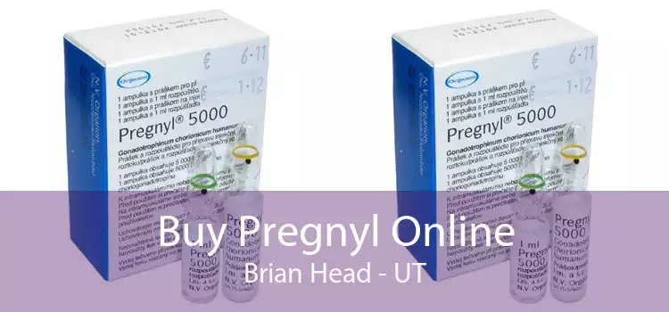Buy Pregnyl Online Brian Head - UT