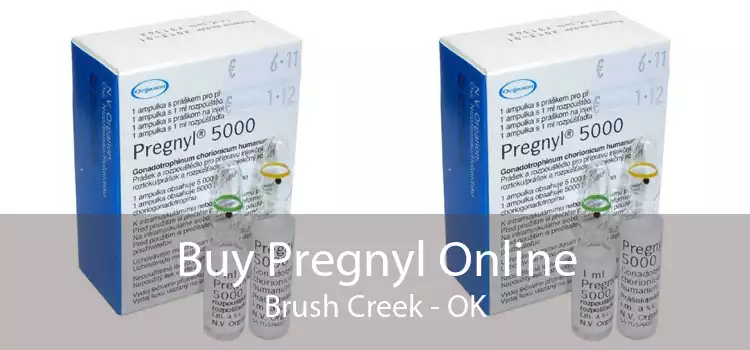 Buy Pregnyl Online Brush Creek - OK