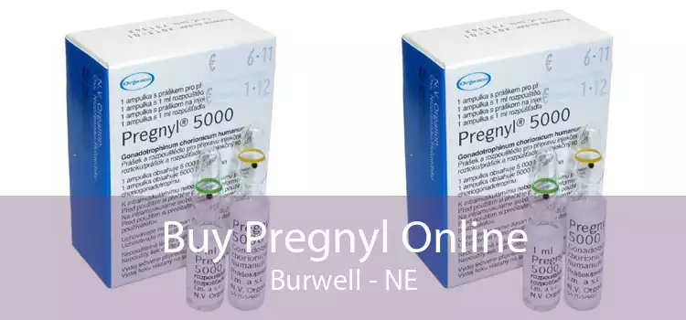 Buy Pregnyl Online Burwell - NE