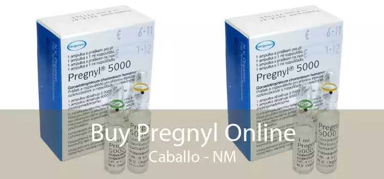 Buy Pregnyl Online Caballo - NM
