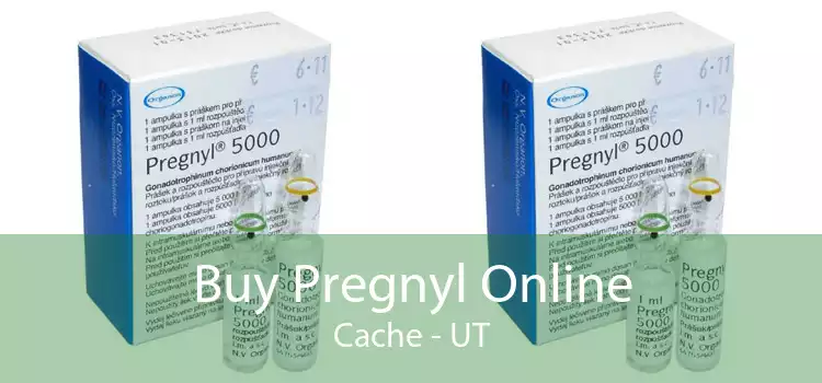 Buy Pregnyl Online Cache - UT
