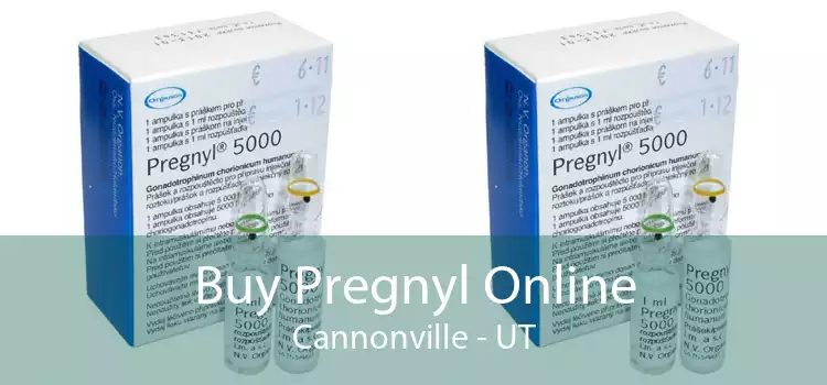 Buy Pregnyl Online Cannonville - UT