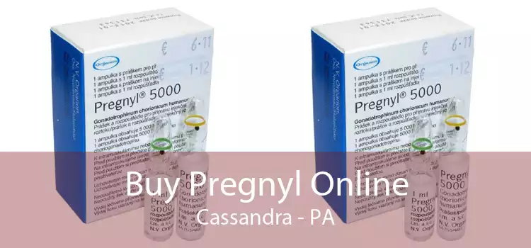 Buy Pregnyl Online Cassandra - PA