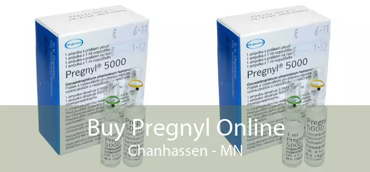 Buy Pregnyl Online Chanhassen - MN