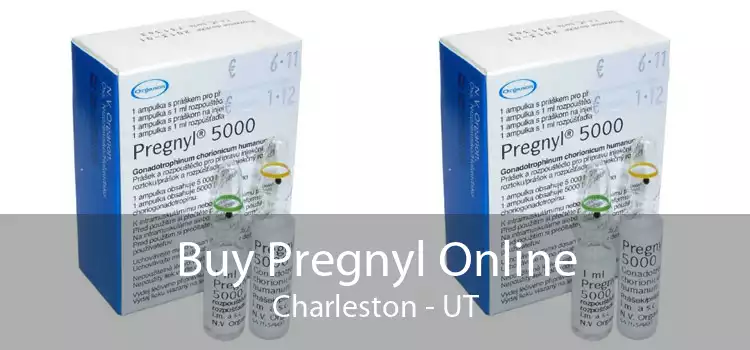 Buy Pregnyl Online Charleston - UT
