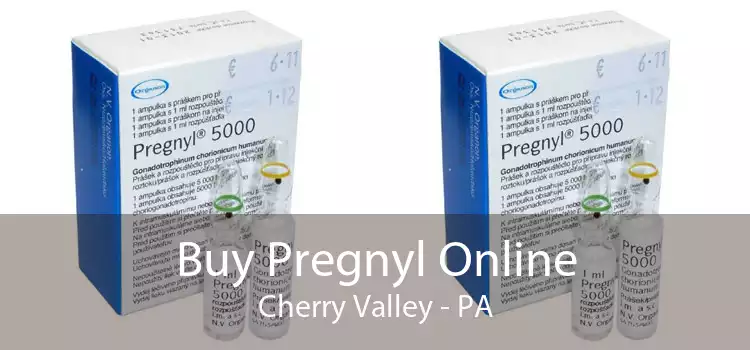 Buy Pregnyl Online Cherry Valley - PA