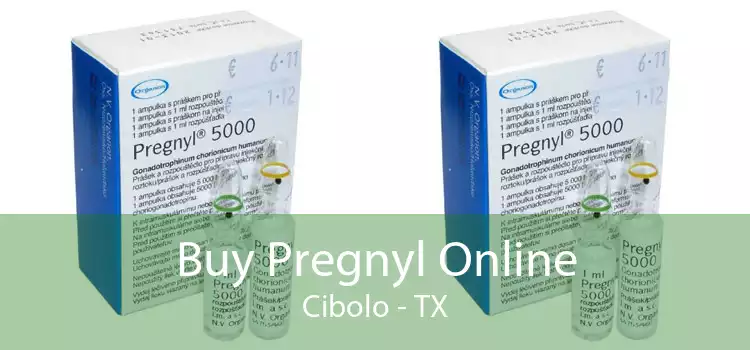 Buy Pregnyl Online Cibolo - TX