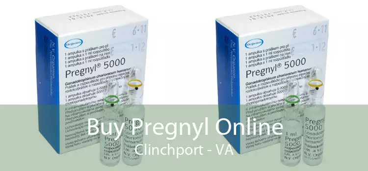 Buy Pregnyl Online Clinchport - VA