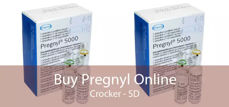 Buy Pregnyl Online Crocker - SD