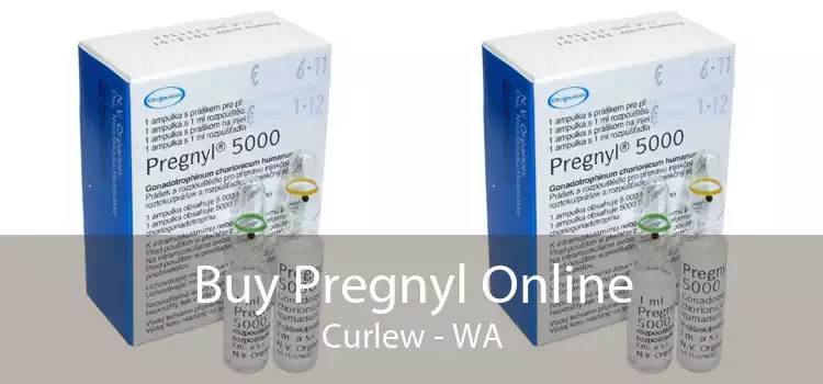 Buy Pregnyl Online Curlew - WA