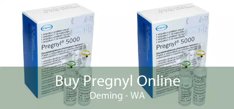 Buy Pregnyl Online Deming - WA
