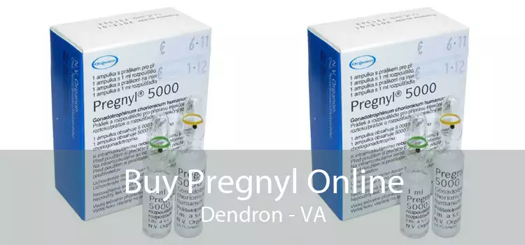 Buy Pregnyl Online Dendron - VA