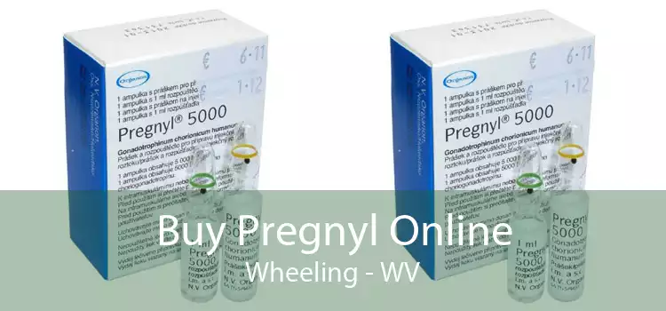 Buy Pregnyl Online Wheeling - WV